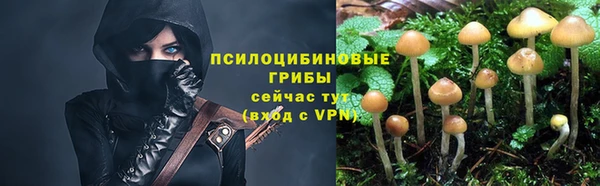 spice Михайловск