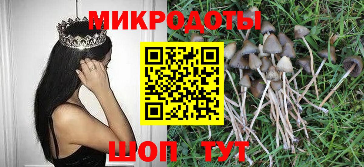 где можно купить наркотик  Псилоцибиновые грибы Magic Shrooms  Галлюциногенные грибы GOLDEN TEACHER  Вход с VPN  Холмск 