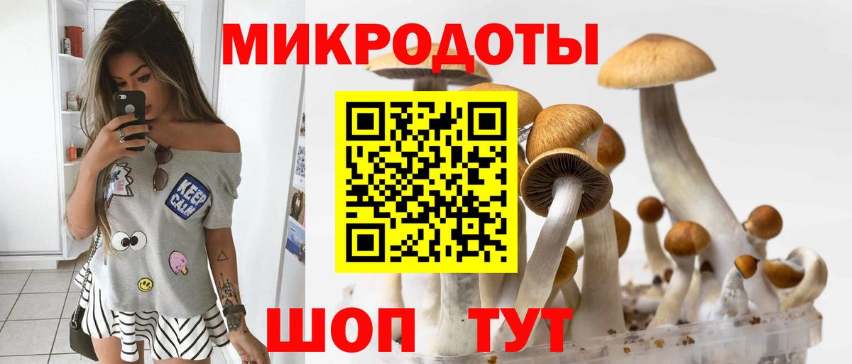 Псилоцибиновые грибы прущие грибы Холмск